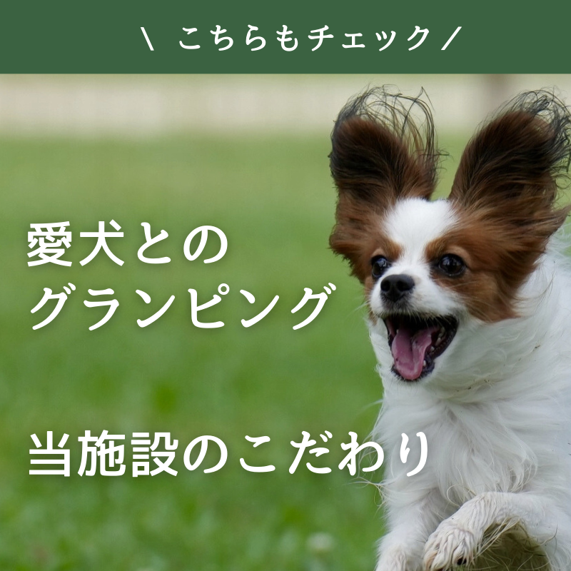 愛犬とのグランピング